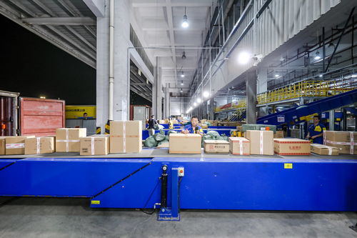 德邦快递 以“快捷、无忧、无损伤”服务，从容应对双十一密集网购挑战