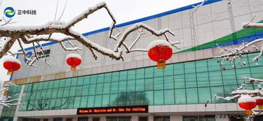 美哉！雪落正中，银装映科技——2020年初雪中的正中科技与雪秀信息